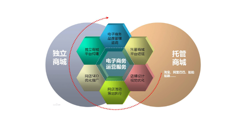 電子商務(wù)的應(yīng)用領(lǐng)域與運營服務(wù)